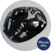 8407 - Polished Black Abalone  10cm